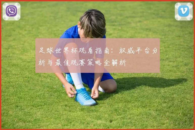 足球世界杯观看指南：权威平台分析与最佳观赛策略全解析
