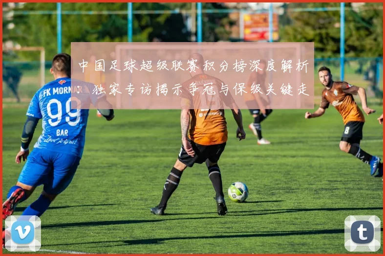 中国足球超级联赛积分榜深度解析：独家专访揭示争冠与保级关键走势